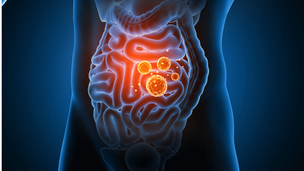 Importancia de microorganismos en la salud y la nutrición